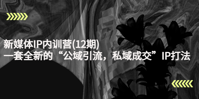 新媒体IP内训营(12期)，一套全新的“公域引流，私域成交”IP打法，直接带走-21资源库