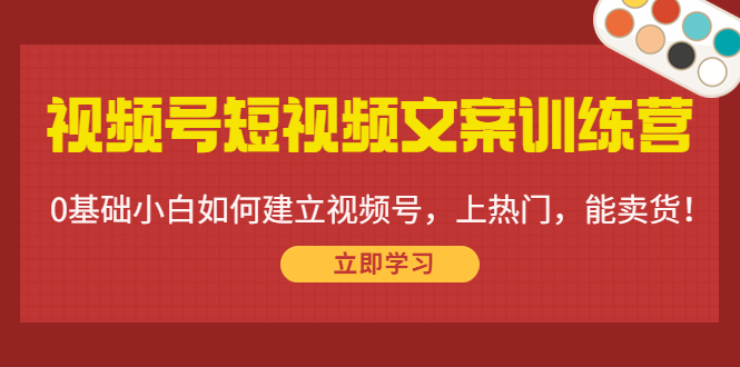 视频号短视频文案训练营：0基础小白如何建立视频号，上热门，能卖货！-21资源库