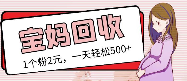最新小红书母婴号宝妈粉回收项目，1个粉2元，一天轻松500+案例分享【粉丝包回收】-21资源库