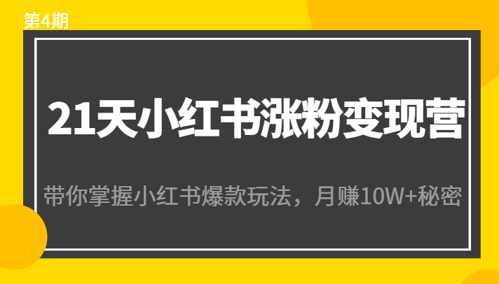 21天小红书涨粉变现营（第4期）：带你掌握小红书爆款玩法，月赚10W+秘密-21资源库