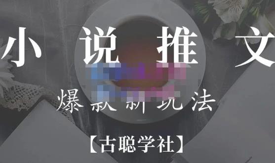 小说推文矩阵号群爆单新玩法，引流技巧+爆款实操+矩阵号玩法，百倍效益、百万播放秘笈-21资源库