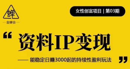 资料IP变现，能稳定日赚3000起的持续性盈利玩法-21资源库