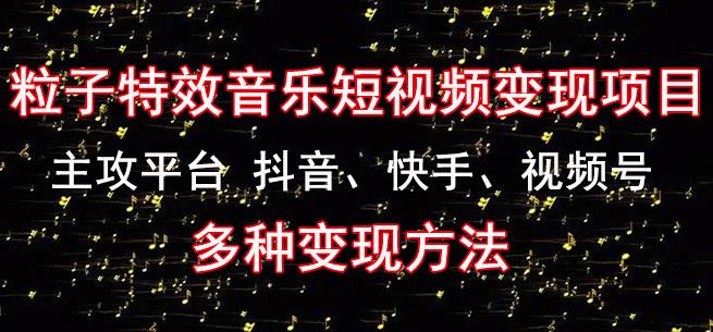 黄岛主《粒子特效音乐短视频变现项目》主攻平台抖音、快手、视频号多种变现方法-21资源库