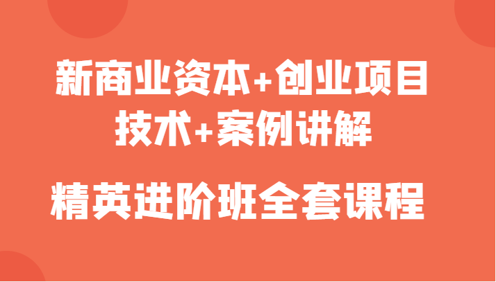 新商业资本+创业项目，技术+案例讲解，精英进阶班全套课程-21资源库