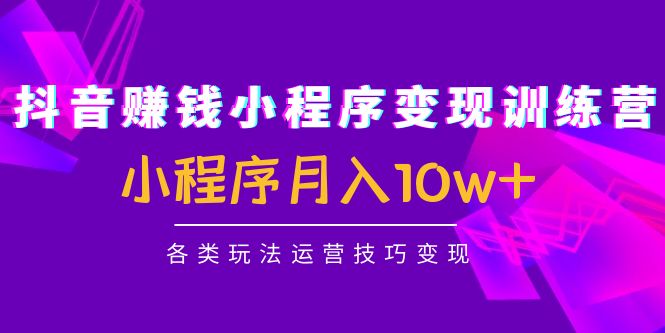 抖音赚钱小程序变现训练营：小程序月入10w+各类玩法运营技巧变现-21资源库