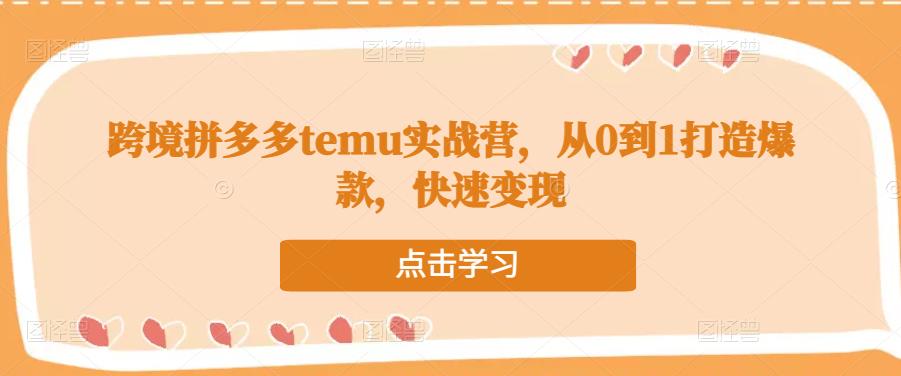 跨境拼多多temu实战营，从0到1打造爆款，快速变现-21资源库