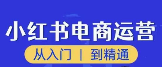 顽石小红书电商高阶运营课程，从入门到精通，玩法流程持续更新-21资源库