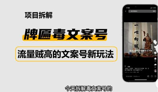 2023抖音快手毒文案新玩法，牌匾文案号，起号快易变现-21资源库