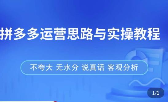 拼多多店铺运营思路与实操教程，快速学会拼多多开店和运营，少踩坑，多盈利-21资源库