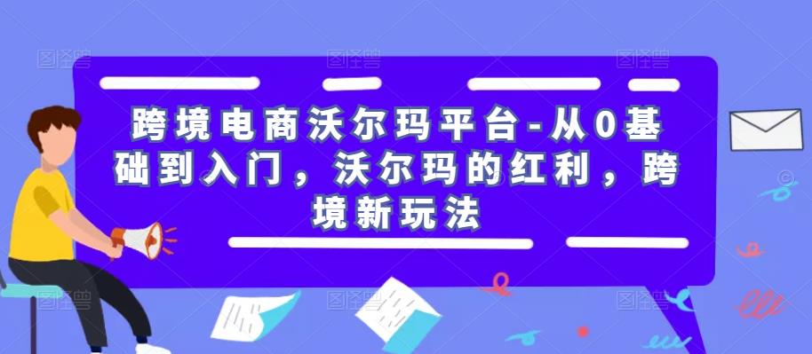 跨境电商沃尔玛平台-从0基础到入门，沃尔玛的红利，跨境新玩法-21资源库