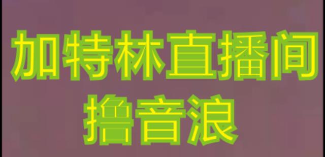 抖音加特林直播间搭建技术，抖音0粉开播，暴力撸音浪，2023新口子，每天800+【素材+详细教程】-21资源库