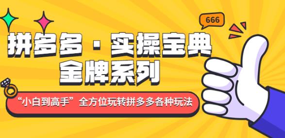 拼多多·实操宝典：金牌系列“小白到高手”带你全方位玩转拼多多各种玩法-21资源库