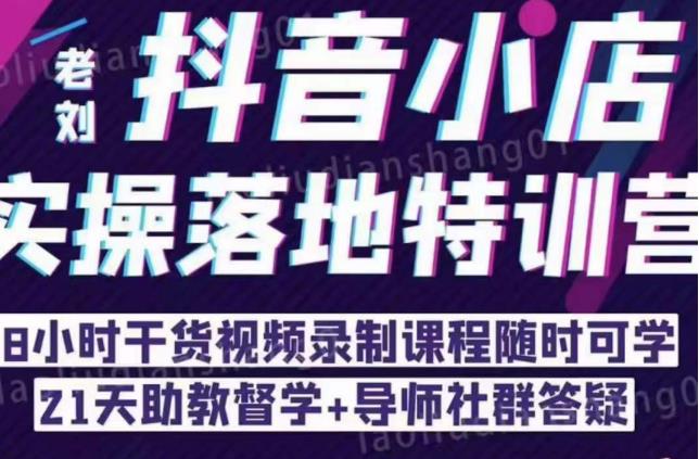 抖音小店实操落地特训营：抖音小店无货源精细化运营，抖店商品卡流量（22节）-21资源库