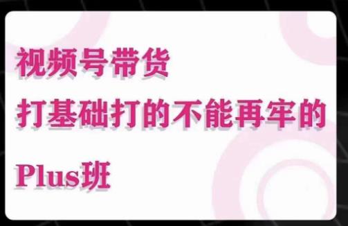 大播汇·视频号带货Puls班，视频号底层逻辑，起号自然流鱼塘等玩法-21资源库