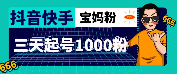 抖音快手三天起号涨粉1000宝妈粉丝的核心方法【详细玩法教程】-21资源库