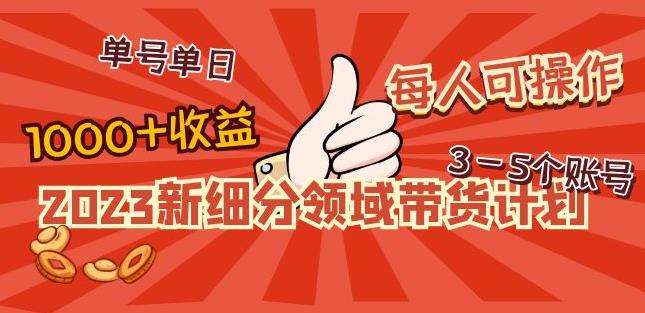 2023新细分领域带货计划：单号单日1000+收益不难，每人可操作3-5个账号-21资源库