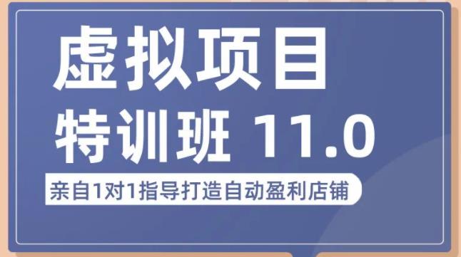 陆明明·虚拟项目特训班（10.0+11.0），0成本获取虚拟素材，0基础打造自动盈利店铺-21资源库