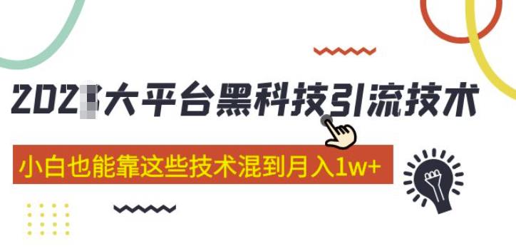 大平台黑科技引流技术，小白也能靠这些技术混到月入1w+(2022年的课程）-21资源库