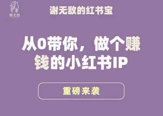 谢无敌·小红书运营大宝典，从0带你做个赚钱的小红书IP-21资源库