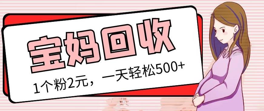 最新宝妈粉回收变现计划及胎教音乐高端变现玩法全套教程！（非老玩法）-21资源库
