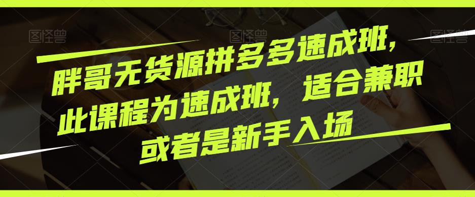 胖哥无货源拼多多速成班，此课程为速成班，适合兼职或者是新手入场-21资源库