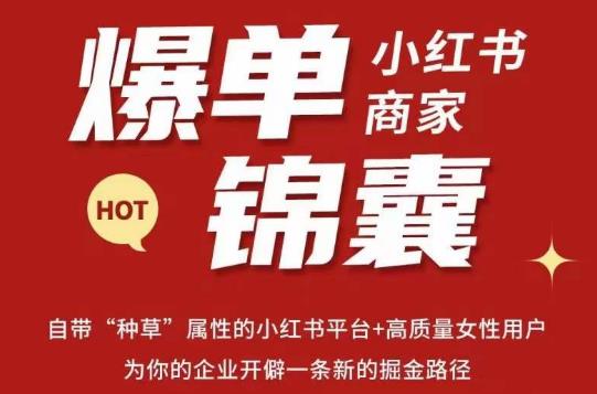 无畏·小红书商家爆单锦囊，掌握小红书各大规则，快速精准抢占行业和市场-21资源库