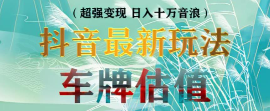 抖音最新无人直播变现直播车牌估值玩法项目，轻松日赚几百+【详细玩法教程】-21资源库