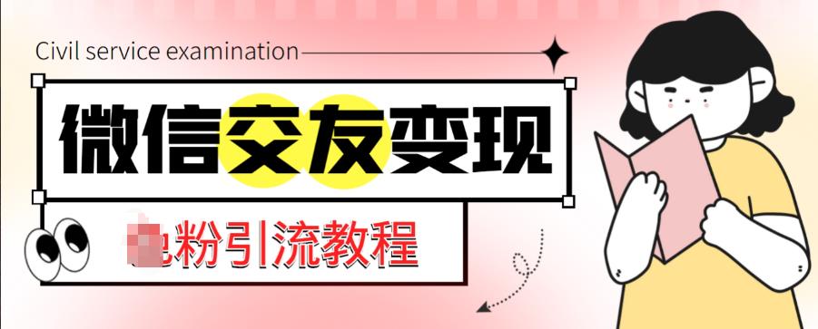 微信交友变现项目，吸引全网LSP男粉精准变现，小白也能轻松上手，日入500+-21资源库