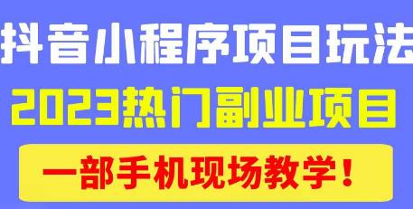 抖音小程序9.0新技巧，2023热门副业项目，动动手指轻松变现-21资源库
