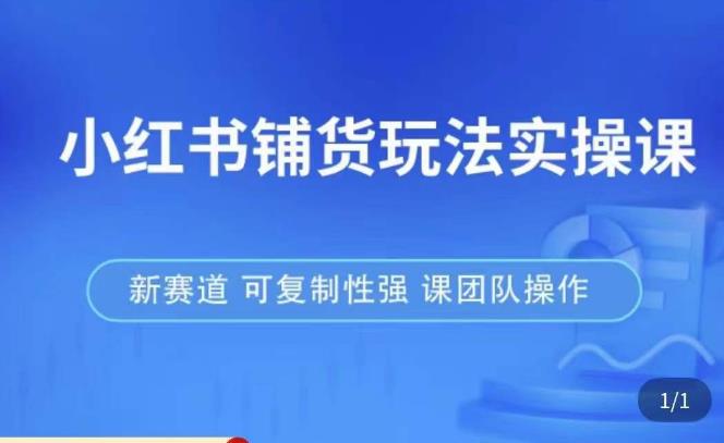 小红书铺货玩法实操课，流量大，竞争小，非常好做，新赛道，可复制性强，可团队操作-21资源库