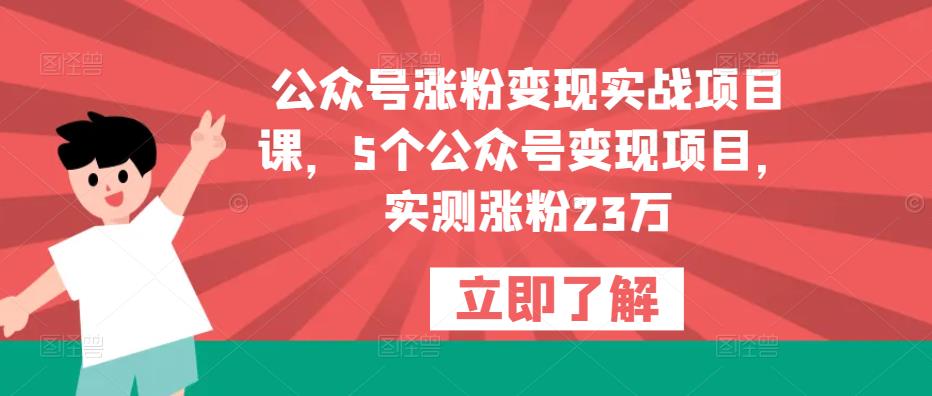 公众号涨粉变现实战项目课，5个公众号变现项目，实测涨粉23万-21资源库