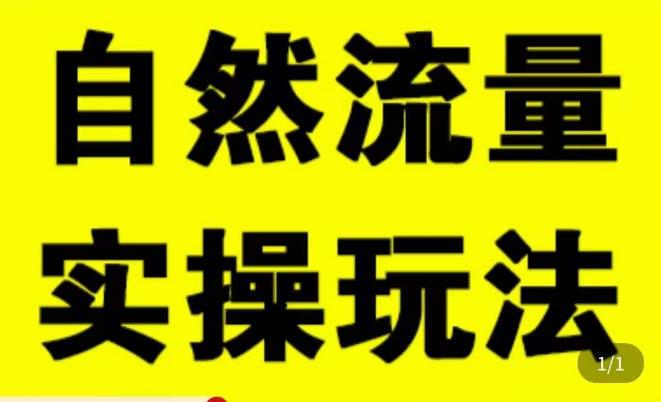 拼多多自然流量天花板，拼多多自然流的实操玩法，自然流量是怎么来的，如何开车带来自然流等知识-21资源库