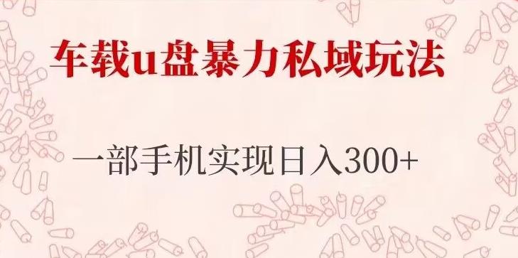 车载u盘暴力私域玩法，长期项目，仅需一部手机实现日入300+-21资源库