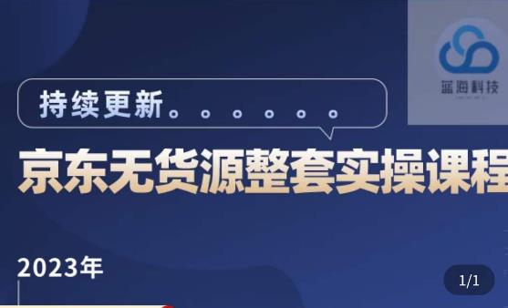 蓝七·2023京东店群整套实操视频教程，京东无货源整套操作流程大总结，减少信息差，有效做店发展-21资源库