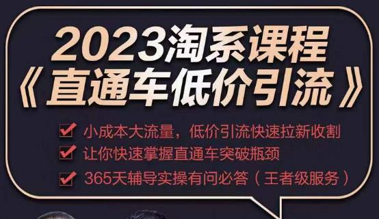 2023直通车低价引流玩法课程，小成本大流量，低价引流快速拉新收割，让你快速掌握直通车突破瓶颈-21资源库