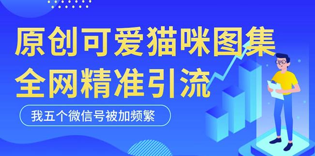 黑科技纯原创可爱猫咪图片，全网精准引流，实操5个VX号被加频繁-21资源库