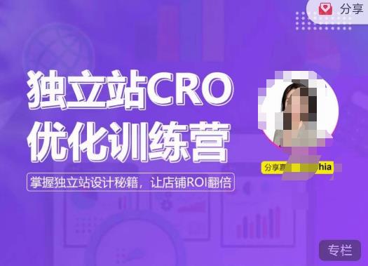 独立站CRO优化训练营，掌握独立站设计秘籍，打造高转化的独立站，让店铺ROI翻倍-21资源库