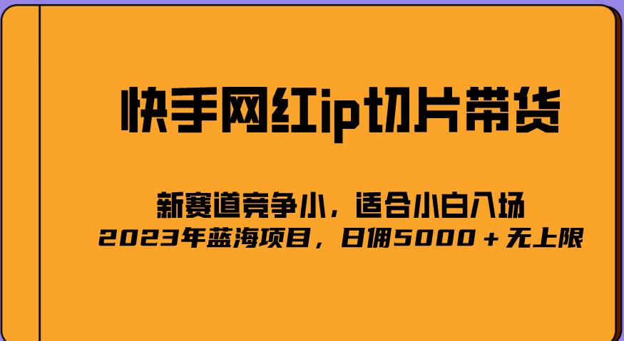 2023爆火的快手网红IP切片，号称日佣5000＋的蓝海项目，二驴的独家授权-21资源库