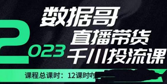 数据哥2023直播电商巨量千川付费投流实操课，快速掌握直播带货运营投放策略-21资源库
