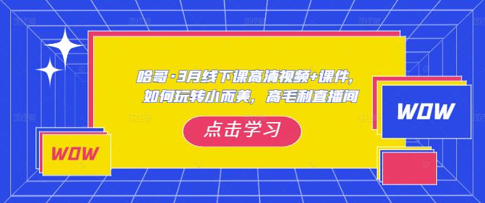 哈哥·3月线下实操课高清视频+课件，如何玩转小而美，高毛利直播间-21资源库