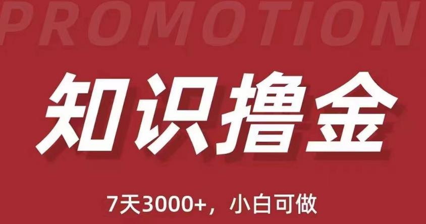 抖音知识撸金项目：简单粗暴日入1000+执行力强当天见收益(教程+资料)-21资源库