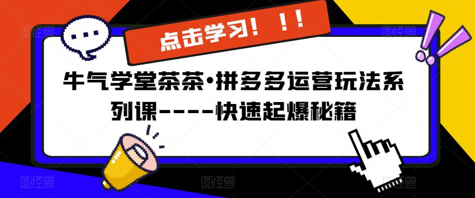 牛气学堂茶茶•拼多多运营玩法系列课—-快速起爆秘籍【更新】-21资源库