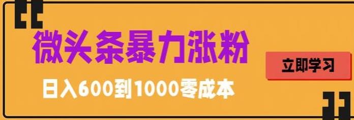 微头条暴力涨粉技巧搬运文案就能涨几万粉丝，简单0成本，日赚600【揭秘】-21资源库