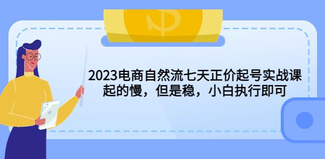 2023电商自然流七天正价起号实战课：起的慢，但是稳，小白执行即可！-21资源库