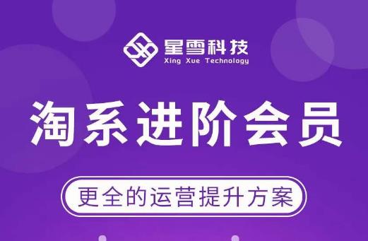 星雪·淘系进阶课程，快速提升突破技能流量瓶颈必备（更新2023年5月）-21资源库