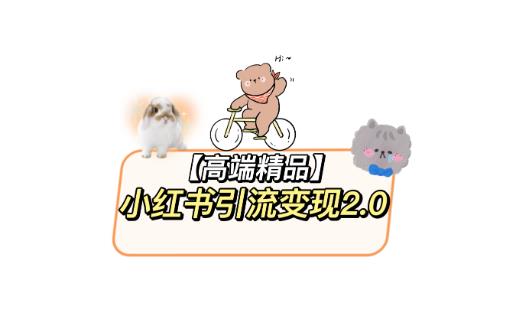 小红书最新引流变现教程，全网最新最详细的视频教程以及素材-21资源库