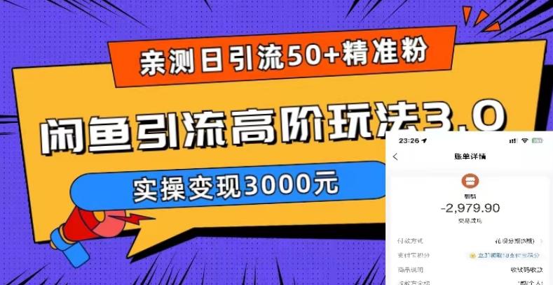 亲测日引50+精准粉，闲鱼引流高阶玩法3.0，实操变现3000元【揭秘】-21资源库