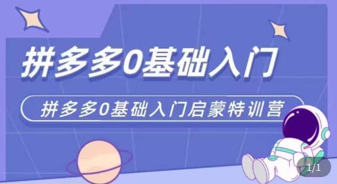 拼多多运营0-1实操特训营，拼多多0基础入门，从基础到进阶的可实操玩法-21资源库