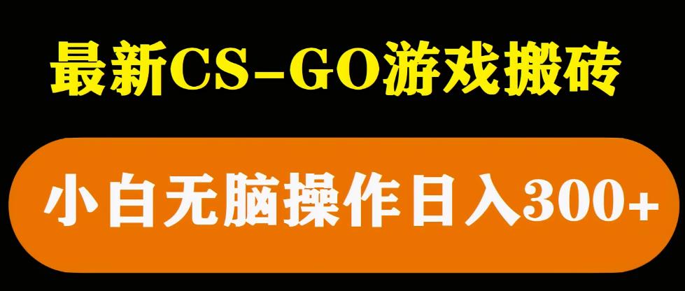 最新csgo游戏搬砖游戏，无需挂机小白无脑也能日入300+-21资源库