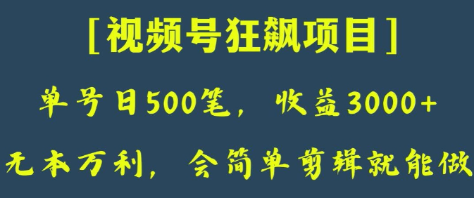 日收款500笔，纯利润3000+，视频号狂飙项目，会简单剪辑就能做【揭秘】-21资源库